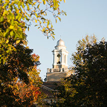 A building surrounded by trees. Links to Closely Held Business Stock