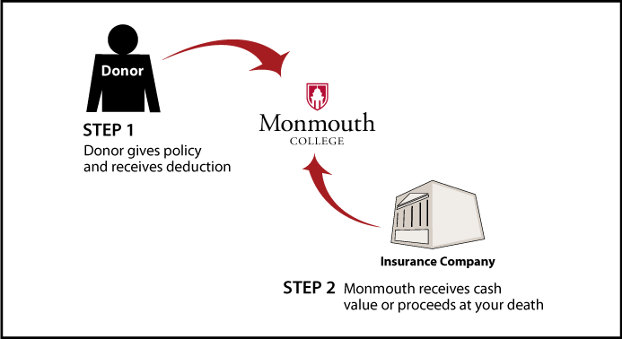 Life Insurance Policy Thumbnail